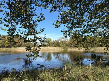 Maison a vendre Neuillay-les-Bois 36500 Indre 25 m2  100700 euros