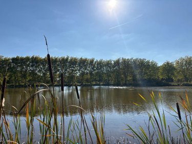 Maison a vendre Neuillay-les-Bois 36500 Indre 25 m2  100700 euros