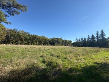 Maison a vendre Neuillay-les-Bois 36500 Indre 25 m2  100700 euros