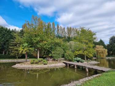 propriete a vendre Gy-en-Sologne 41230 Loir-et-Cher 350 m2 10 pièces 768000 euros