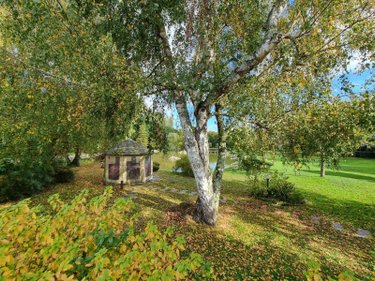 propriete a vendre Gy-en-Sologne 41230 Loir-et-Cher 350 m2 10 pièces 768000 euros