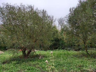 Maison a vendre Crozon 29160 Finistère 85 m2 4 pièces 148400 euros