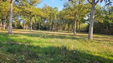 Terrain a batir a vendre La Suze-sur-Sarthe 72210 Sarthe 1500 m2  59990 euros