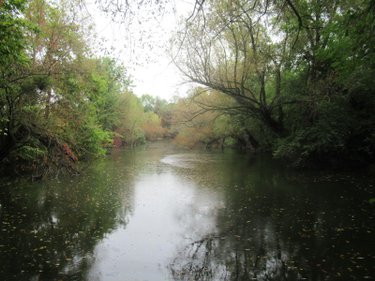 Terrains de loisirs bois etangs a vendre Troyes 10000 Aube 5847 m2  37310 euros
