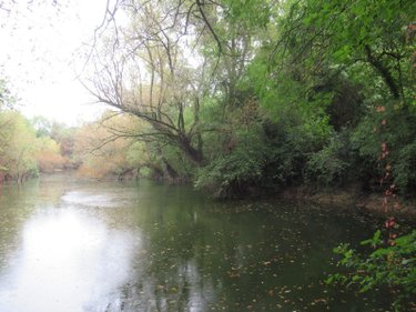 Terrains de loisirs bois etangs a vendre Troyes 10000 Aube 5847 m2  37310 euros