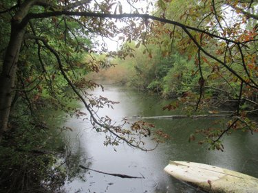 Terrains de loisirs bois etangs a vendre Troyes 10000 Aube 604 m2  47970 euros