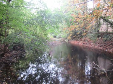 Terrains de loisirs bois etangs a vendre Troyes 10000 Aube 604 m2  47970 euros
