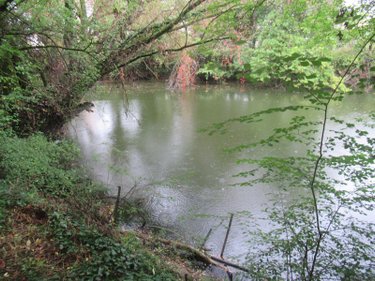 Terrains de loisirs bois etangs a vendre Troyes 10000 Aube 5847 m2  37310 euros