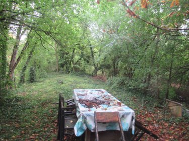 Terrains de loisirs bois etangs a vendre Troyes 10000 Aube 5847 m2  37310 euros