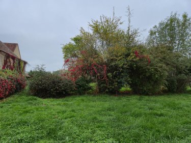 Maison a vendre Cluis 36340 Indre 247 m2 12 pièces 239000 euros