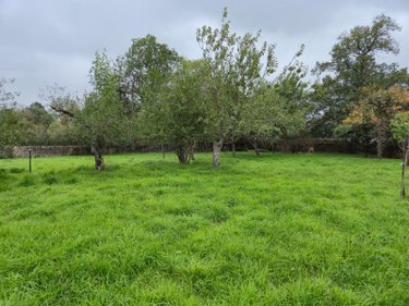 Maison a vendre Cluis 36340 Indre 247 m2 12 pièces 239000 euros