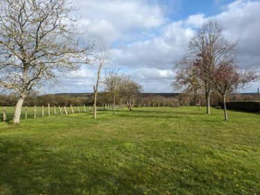Terrains de loisirs bois etangs a vendre Changé 72560 Sarthe 2100 m2  21630 euros