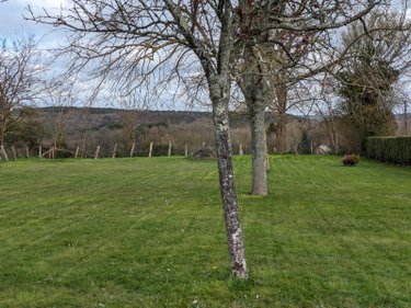 Terrains de loisirs bois etangs a vendre Changé 72560 Sarthe 2100 m2  21630 euros