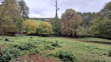 Maison a vendre Aubry-le-Panthou 61120 Orne 46 m2 3 pièces 100700 euros