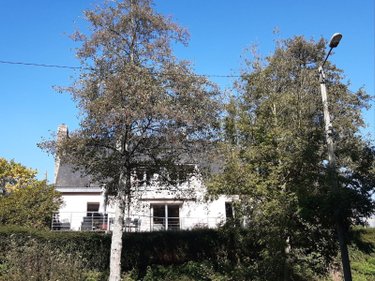 Maison a vendre Pontivy 56300 Morbihan 171 m2 6 pièces 322000 euros