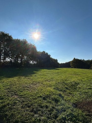 Terrain a batir a vendre Le Magny 36400 Indre 6783 m2  38000 euros