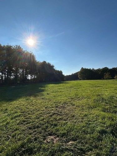 Terrain a batir a vendre Le Magny 36400 Indre 6783 m2  38000 euros