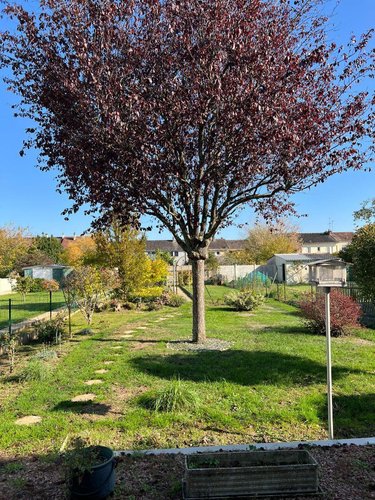 Maison a vendre Châteauroux 36000 Indre 96 m2 4 pièces 139000 euros