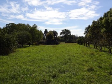 Maison a vendre Baillé 35460 Ille-et-Vilaine 27 m2 1 pièce 52870 euros