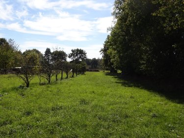 Maison a vendre Baillé 35460 Ille-et-Vilaine 27 m2 1 pièce 52870 euros