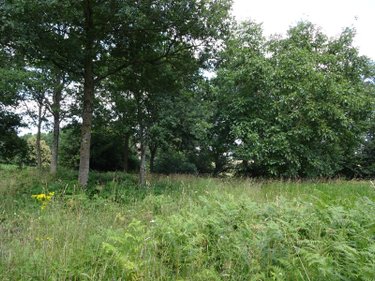 Maison a vendre Romazy 35490 Ille-et-Vilaine 134 m2 5 pièces 212500 euros