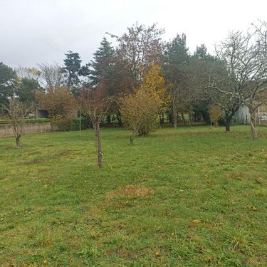 Terrain a batir a vendre Valdivienne 86300 Vienne 2267 m2  43600 euros