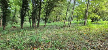 Terrains de loisirs bois etangs a vendre Bonnétable 72110 Sarthe 2624 m2  10000 euros