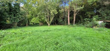 Terrains de loisirs bois etangs a vendre Bonnétable 72110 Sarthe 2624 m2  10000 euros