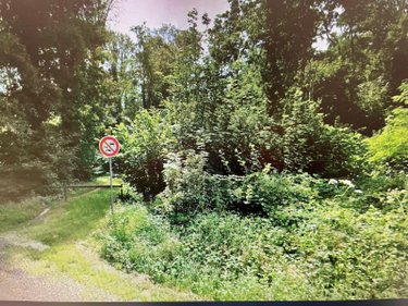 Terrains de loisirs bois etangs a vendre Saint-Martin-d'Ablois 51530 Marne 320000 m2