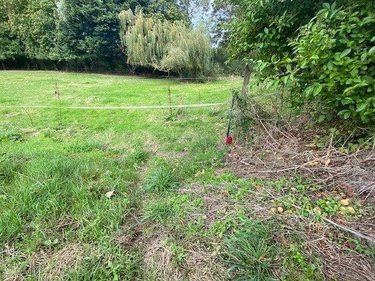 Terrain a batir a vendre Plouézec 22470 Côtes-d'Armor 1233 m2  126400 euros