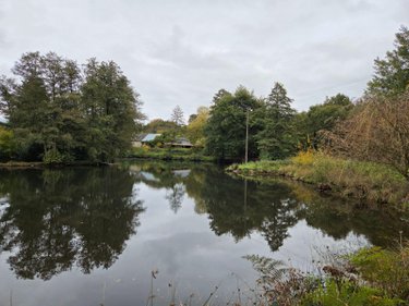 Terrains de loisirs bois etangs a vendre Vimartin sur Orthe 53160 Mayenne 6031 m2  26500 euros