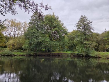 Terrains de loisirs bois etangs a vendre Vimartin sur Orthe 53160 Mayenne 6031 m2  26500 euros