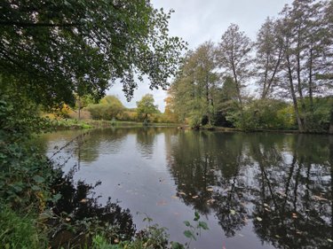 Terrains de loisirs bois etangs a vendre Vimartin sur Orthe 53160 Mayenne 6031 m2  26500 euros