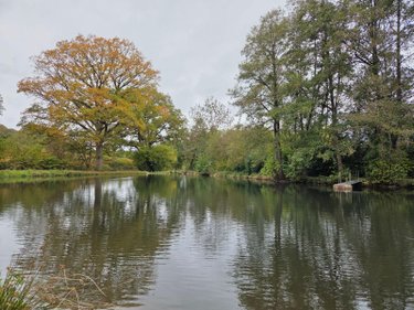 Terrains de loisirs bois etangs a vendre Vimartin sur Orthe 53160 Mayenne 6031 m2  26500 euros