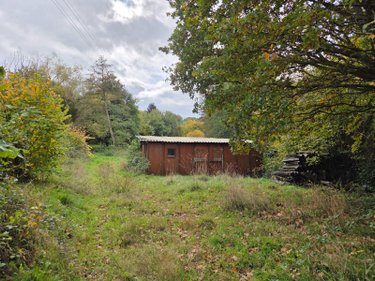 Terrains de loisirs bois etangs a vendre Vimartin sur Orthe 53160 Mayenne 6031 m2  26500 euros