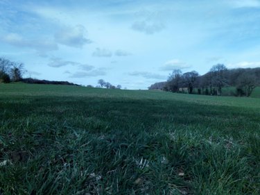Bien agricole a vendre Vimartin sur Orthe 53160 Mayenne  109486 euros