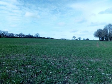 Bien agricole a vendre Vimartin sur Orthe 53160 Mayenne  109486 euros