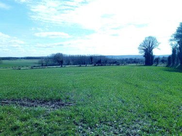 Bien agricole a vendre Vimartin sur Orthe 53160 Mayenne  109486 euros