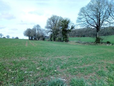 Bien agricole a vendre Vimartin sur Orthe 53160 Mayenne  109486 euros