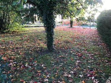 Garage et parking a vendre Torcé-en-Vallée 72110 Sarthe  64500 euros