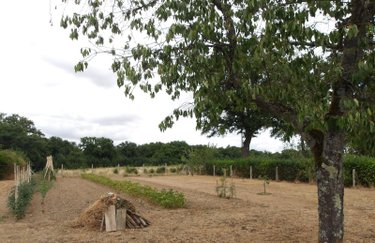Maison a vendre Bétête 23270 Creuse 91 m2 4 pièces 105056 euros