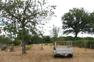 Maison a vendre Bétête 23270 Creuse 91 m2 4 pièces 98072 euros