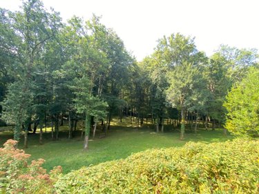 Maison a vendre Châtillon-sur-Indre 36700 Indre 258 m2 9 pièces 1590000 euros