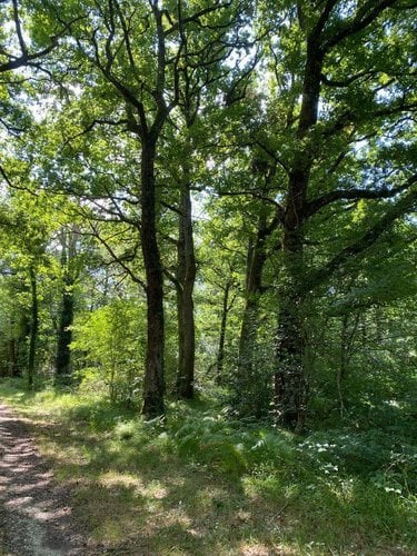 Maison a vendre Châtillon-sur-Indre 36700 Indre 258 m2 9 pièces 1590000 euros