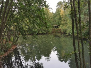 Terrains de loisirs bois etangs a vendre Vailly-sur-Aisne 02370 Aisne 22421 m2  89250 euros