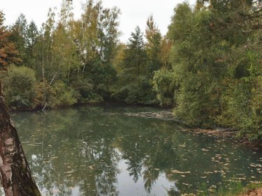 Terrains de loisirs bois etangs a vendre Vailly-sur-Aisne 02370 Aisne 22421 m2  89250 euros