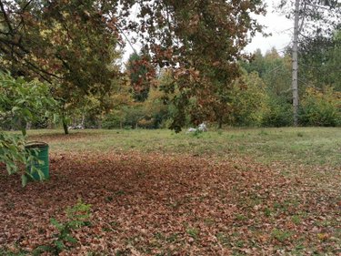 Terrains de loisirs bois etangs a vendre Vailly-sur-Aisne 02370 Aisne 22421 m2  89250 euros