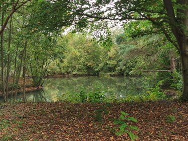 Terrains de loisirs bois etangs a vendre Vailly-sur-Aisne 02370 Aisne 22421 m2  89250 euros