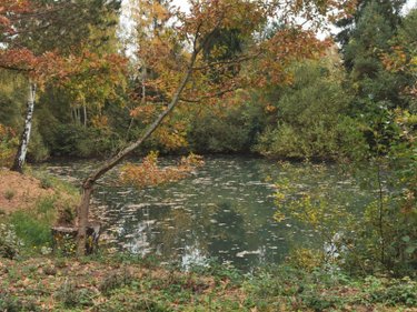 Terrains de loisirs bois etangs a vendre Vailly-sur-Aisne 02370 Aisne 22421 m2  89250 euros