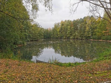 Terrains de loisirs bois etangs a vendre Vailly-sur-Aisne 02370 Aisne 22421 m2  89250 euros